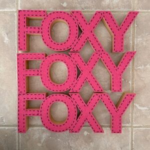 3 NWT Pink FOXY Valentines Gift Decor